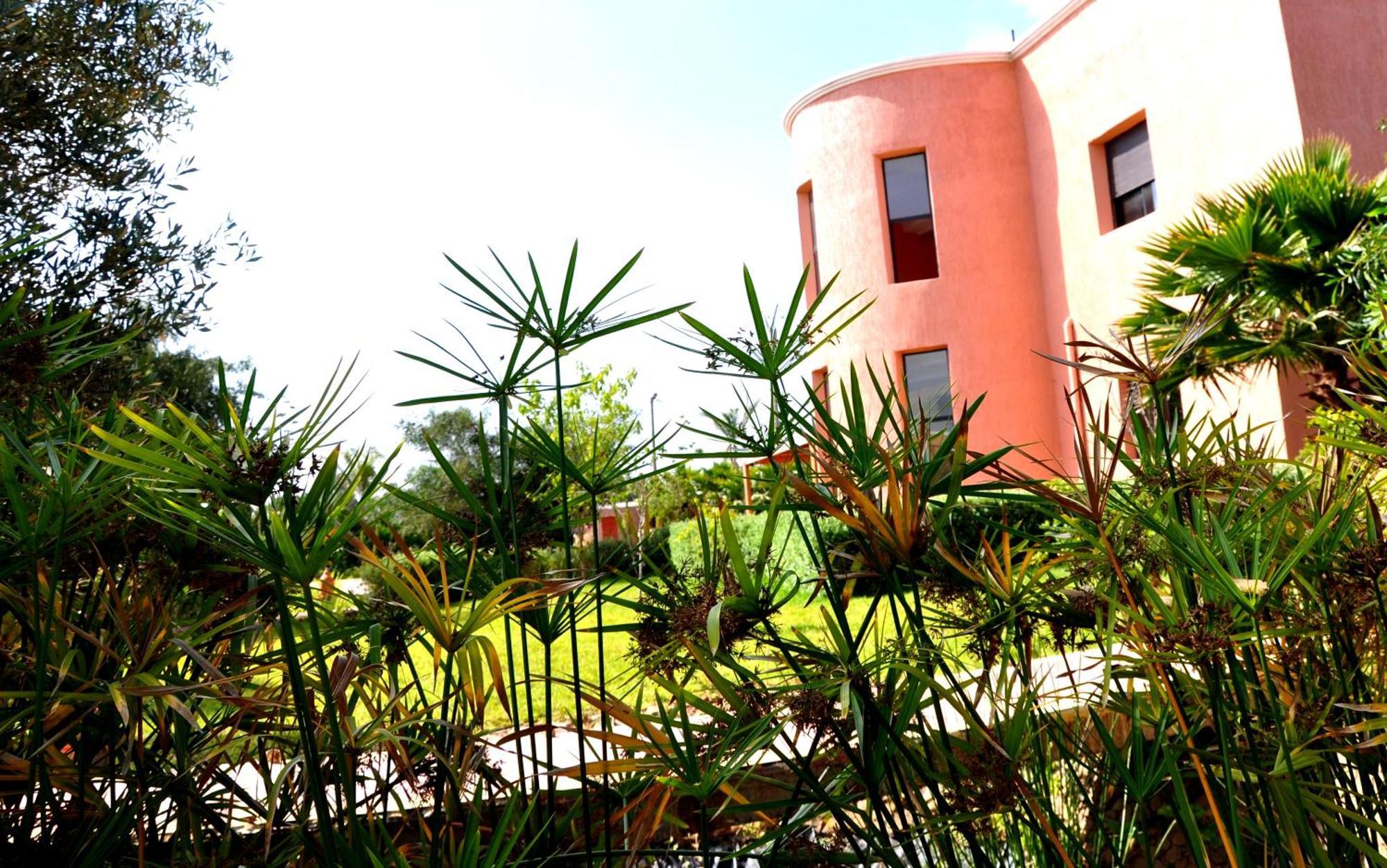 Riad Hamdani Derroua Exterior foto