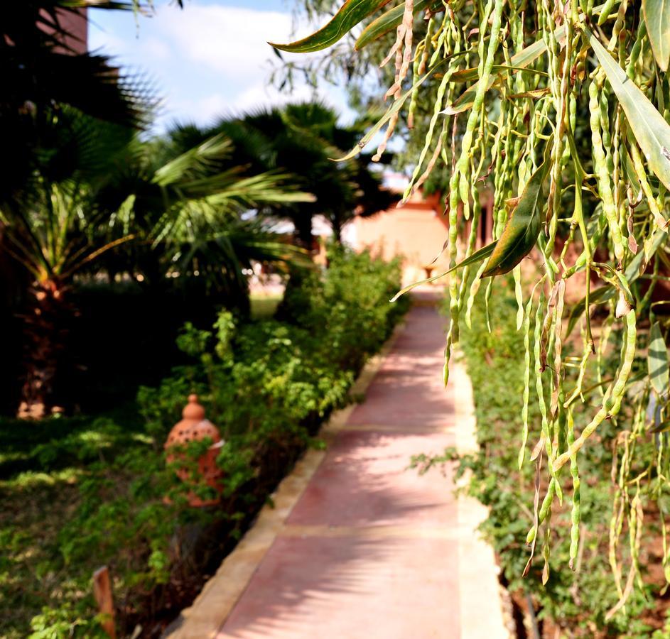 Riad Hamdani Derroua Exterior foto