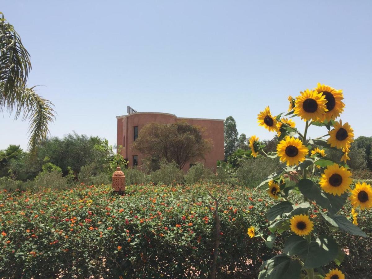 Riad Hamdani Derroua Exterior foto